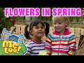 @MeTooOfficialTVShow | Flowers In Spring 💐🌹 | #spring | #fullepisode | TV Shows for Kids