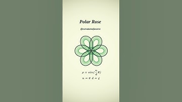 Polar Rose 6-4 🇧🇷 #maths #physics #science #education