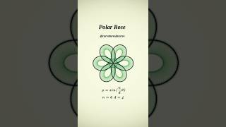 The Math of Flowers: Polar Rose 6-4 🌸 #maths