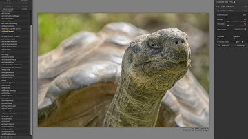 Third Party Filter Layers