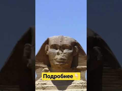НАМ ВРАЛИ о
