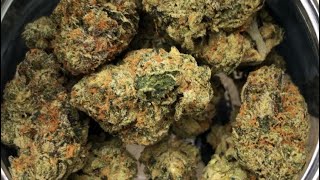 Ropescotti by Burning Rope Pharms (Strain Review #68) (Cali)