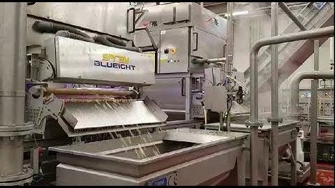 Spray optical sorting machine for diced potatoes | RAYTEC VISION SpA