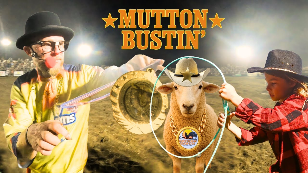 Видеоблог о баранах на родео-ранчо «Мэйхем» + Животные