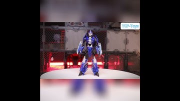 APC Toys APC-005 Angel Engine TFP Arcee Comic VersionMaterial