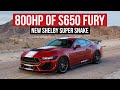 First look at the allnew 800hp 2024 shelby super snake