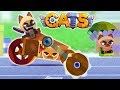 БИТВА САМОДЕЛЬНЫХ МАШИН Видео для детей про сражения КОТИКОВ в Игре CATS: Crash Arena Turbo Stars