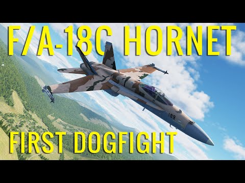 MY FIRST DOGFIGHT IN THE F/A-18C! - DCS World VR