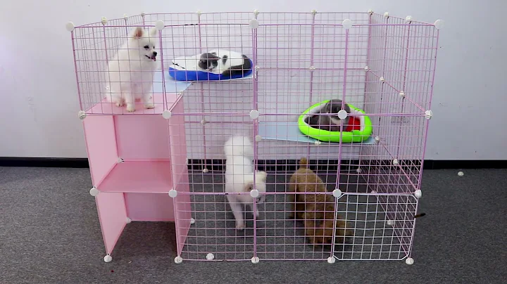 Watch the video about Simple but effective house model that anyone can do - Mr Pet Family