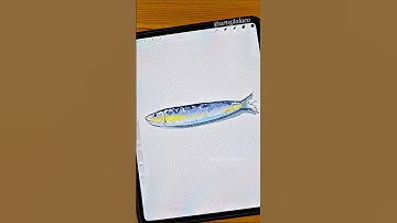 Simple Sardine 🐟 #art #shorts #watercolor #procreate