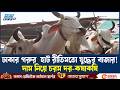 হাটে হাটে কোরবানির পশু, নিরাপত্তায় কতটা প্রস্তুত ঢাকা? | Ekushey TV