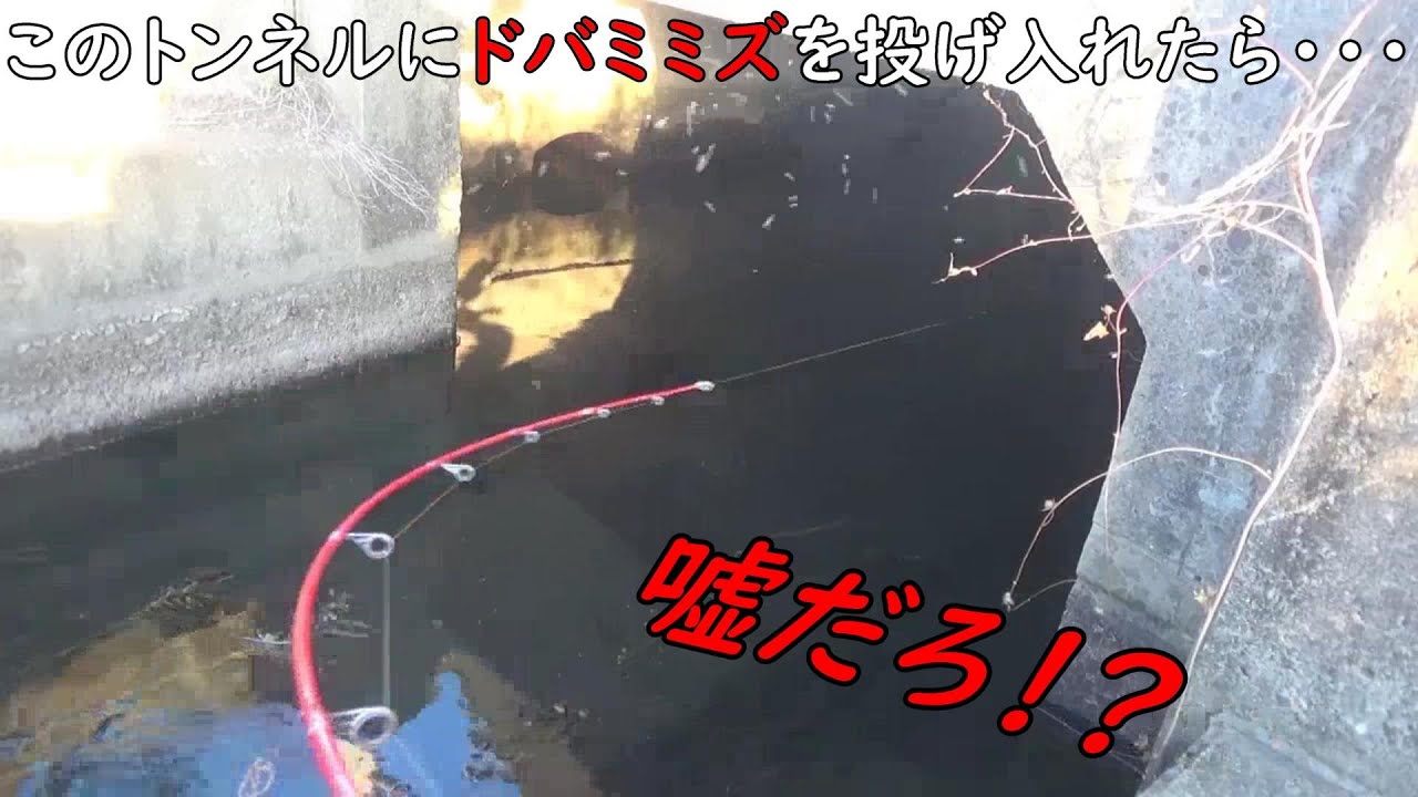 トンネルにミミズを投げ入れたらヌシ釣れた！！