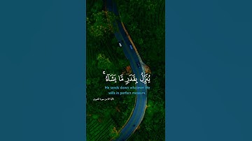 ولو بسط الله الرزق لعباده  #quran #فارس عباد #تلاوة #تلاوة خاشعة #تلاوة مؤثرة #قرأن #القران الكريم #