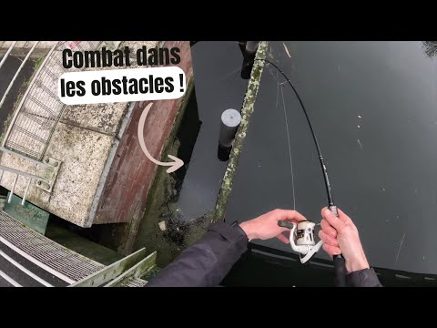 Unexpected big fish caught while fishing for perch!