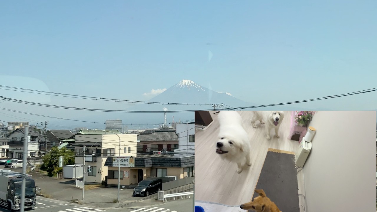 お父さん出張！帰りを笑顔で迎えてくれました