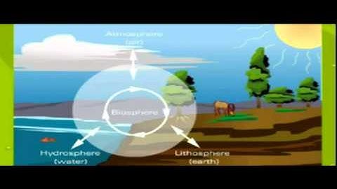 BASIC ECOLOGY PART 4