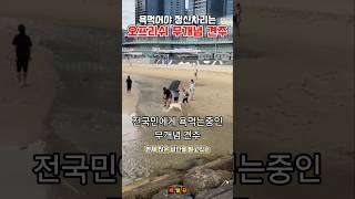채널뀨 대표 영상 썸네일