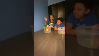 Sink or Float Challenge (Fruits & Vegetables) 🍏🍌🥒🍋🍊🧅