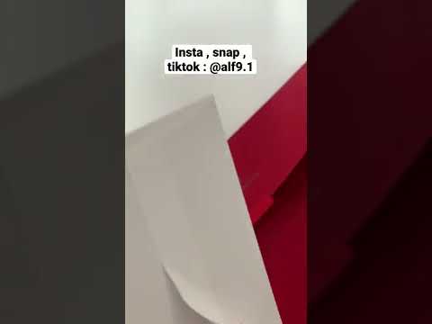    كارولينا هيريرا باوتش