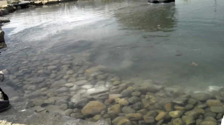 GreenClean Granular Algaecide Review - Pond Maintenance