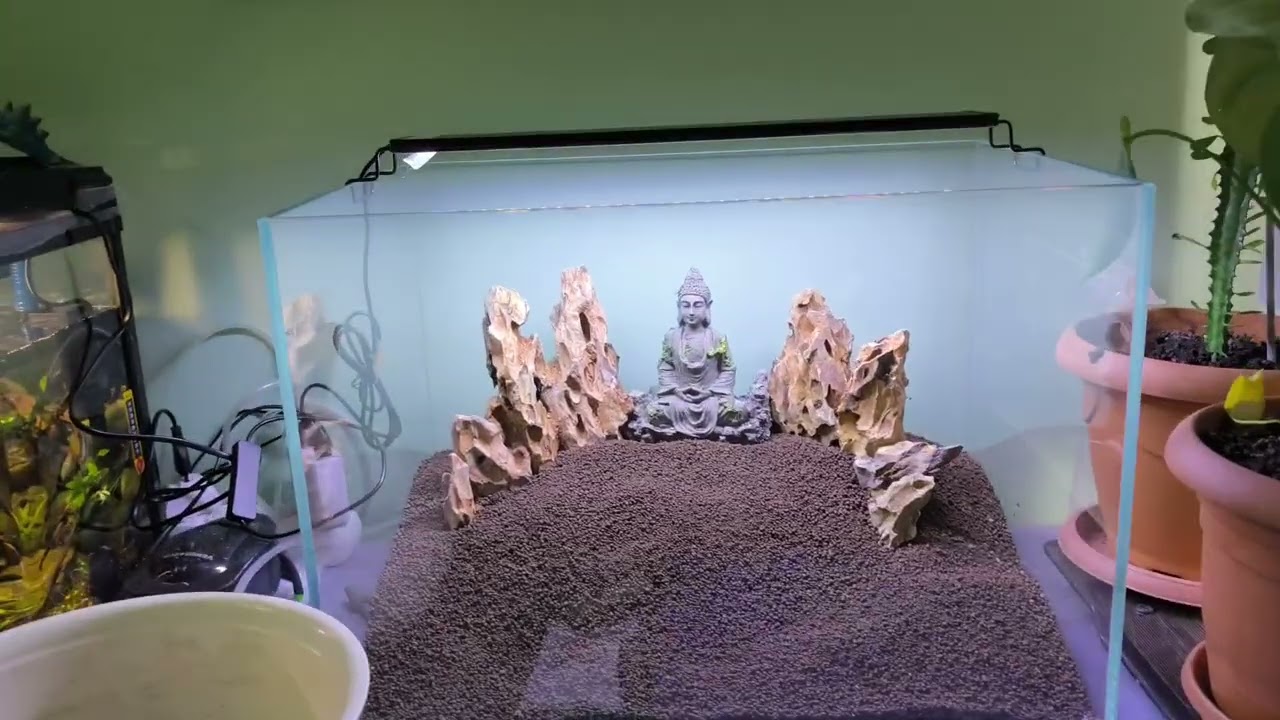 50*35*35 ULTRA CLEAR CAMA CAM NEW TANK DESİNG