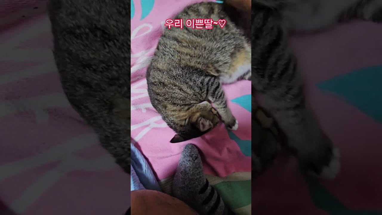 우리 딸 #햇살 #퇴근 #부산강서구 #구독 #좋아요 #감사합니다