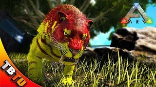 Ark: Survivel Evolved Mutation Zoo E44 -  SABERTOOTH BREEDING AND MUTATIONS! SABERTOOH ZOO ENCLOSURE