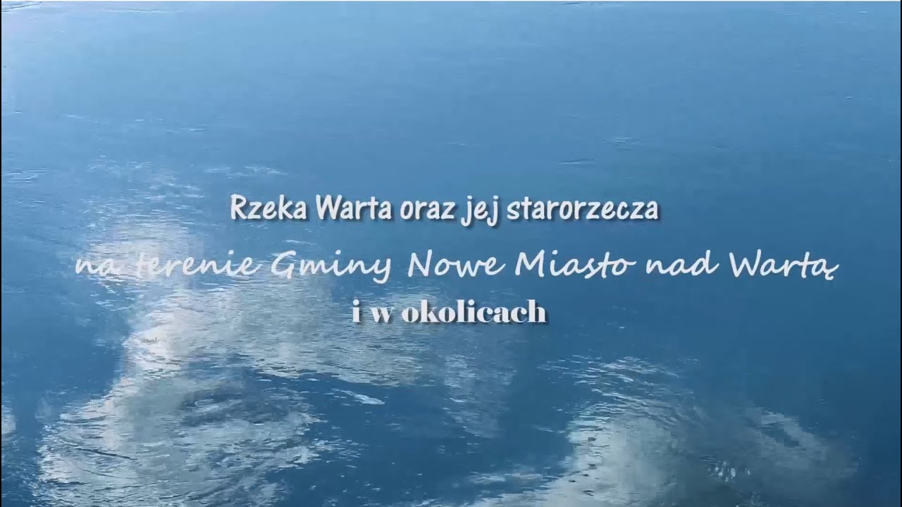 Rzeka Warta oraz jej starorzecza na terenie Gminy Nowe Miasto nad Wartą i w okolicach