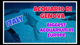 THE  LARGEST AQUARIUM IN EUROPE | ACQUARIO DI GENOVA |  REGIONE LIGURIA | ROAMING AROUND ITALY
