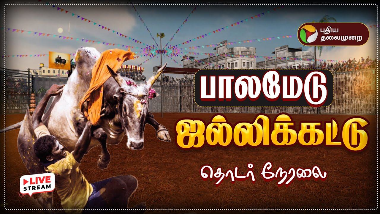 🔴LIVE: பாலமேடு ஜல்லிக்கட்டு | Palamedu Jallikattu live | Madurai Jallikattu 2026 Live Today