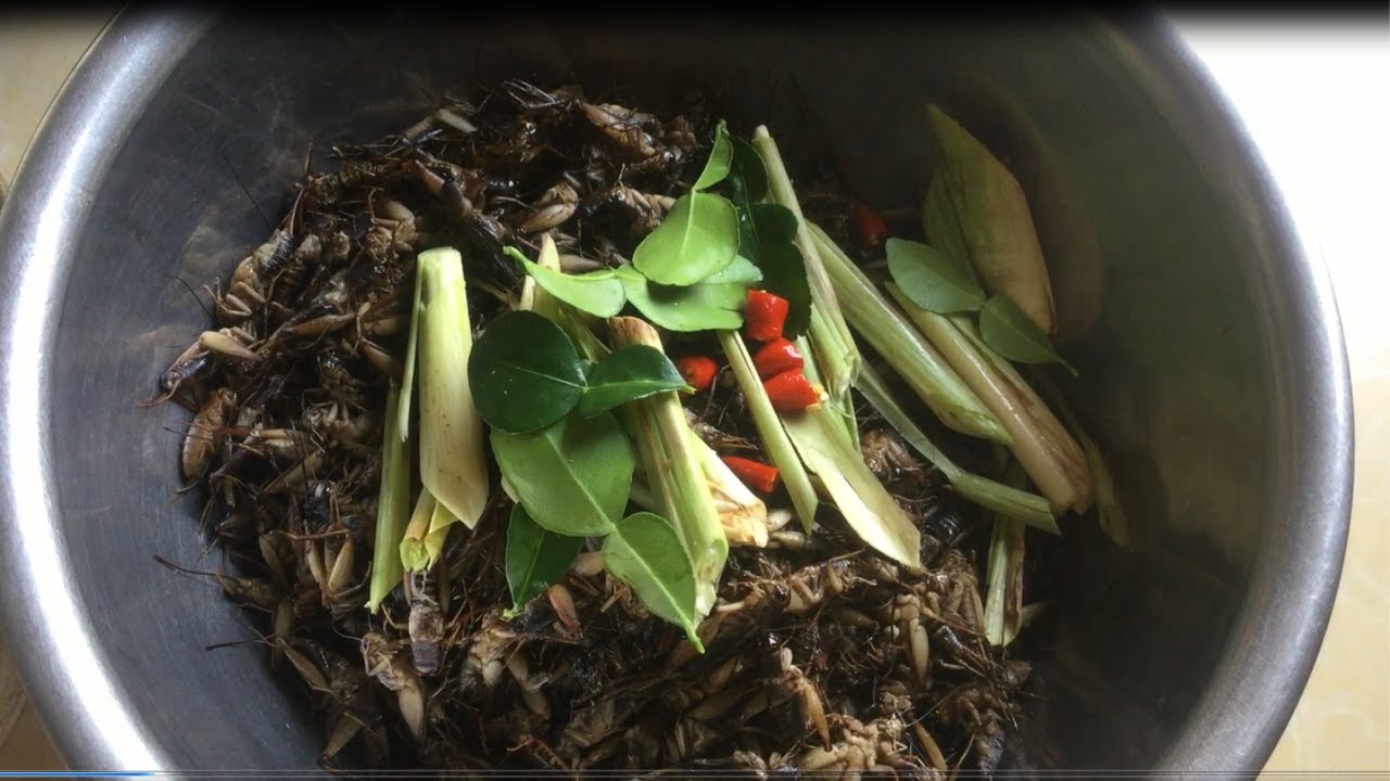 Grilled crickets eating so delicioushomemade/ ចង្រិតបំពងឈ្ងុយឆ្ងាញ់