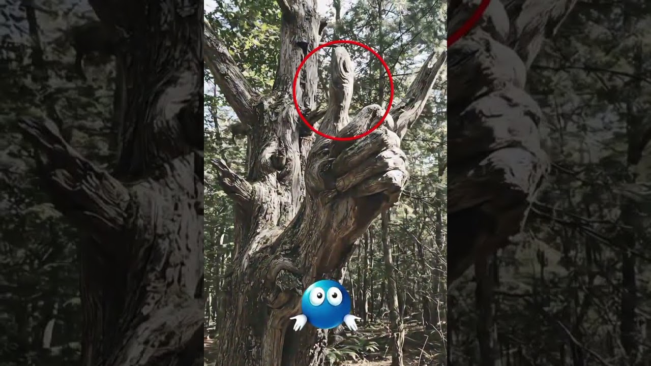 These Trees Look Fake… But They’re 100% Real 🌳😨