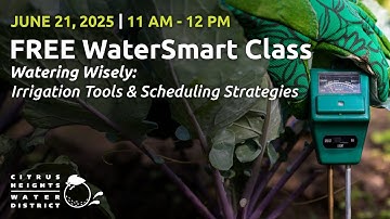 Watering Wisely: Irrigation Tools & Scheduling Strategies