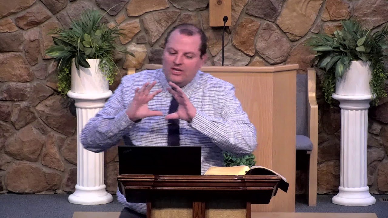 Genesis 6:7-8:  Was the Flood Local or Global?