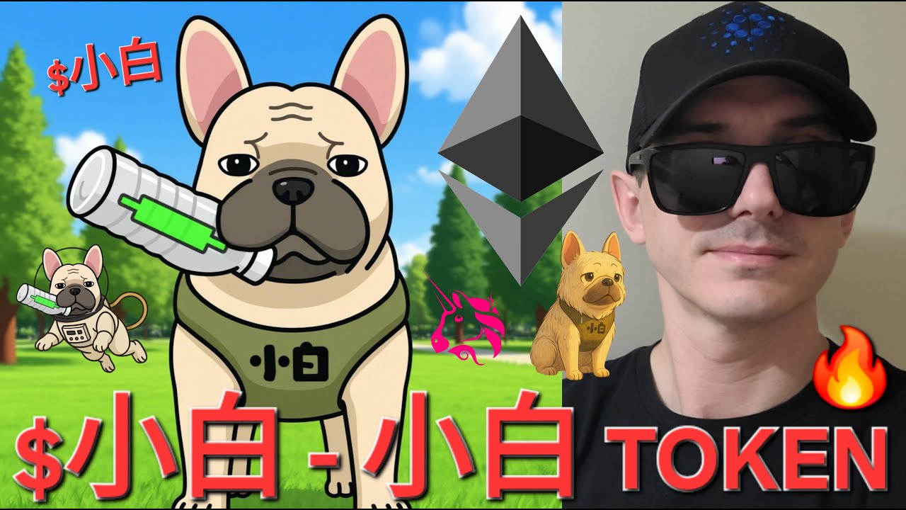 $小白 - 小白 TOKEN CHINA DOG CRYPTO MEMECOIN COIN HOW TO BUY UNISWAP ETHEREUM ETH BLOCKCHAIN XIOA BAI