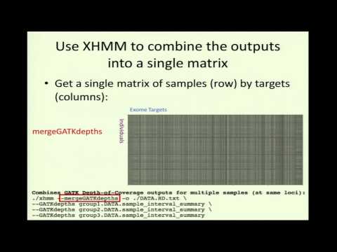 Vídeo: DECA: Chamada De Variante De Número De Cópia Do Exome XHMM Escalável Com ADAM E Apache Spark