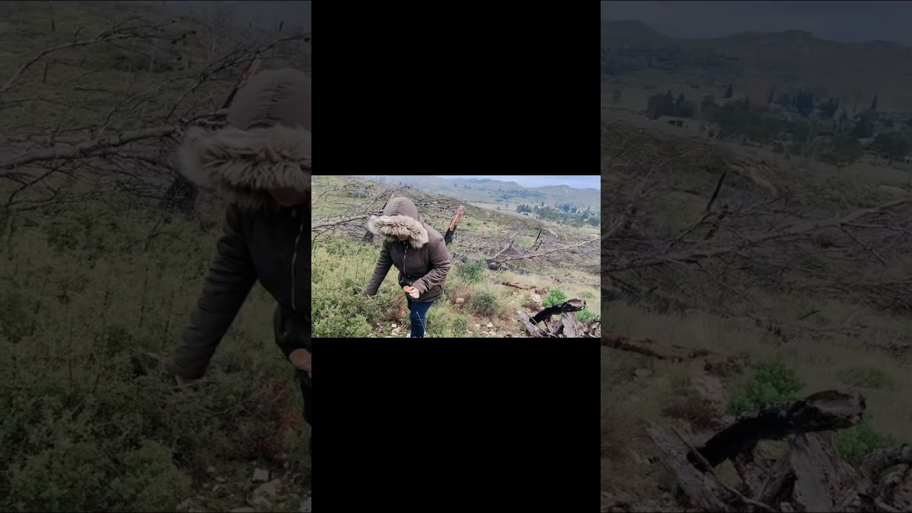 Kuv tus me niam tsev wb mus ncig ua si nce roob no no heev 