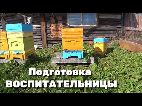 видео: Сборка семьи воспитательницы