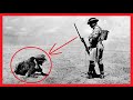 40 MOST RARE & POWERFUL HISTORICAL PHOTOS - Vol 243