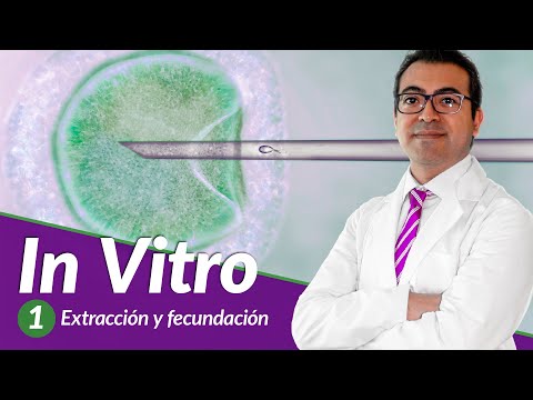 Fertilización In Vitro