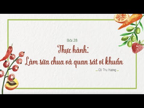 Video Bài 28: Thực hành làm sữa chua và quan sát vi khuẩn -... - youtube