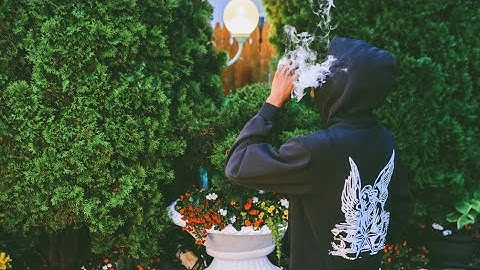 Quelly Woo💫💫- 4 Mintues of Pain (Extended Snippet)(Check Comments💰)#Keymilitant#CMA#QuellyWoo#Yes