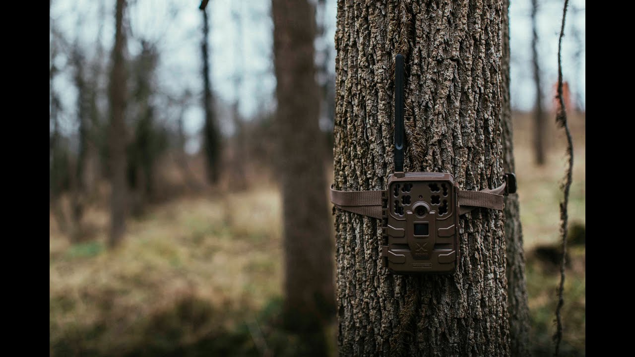 Introducing The Moultrie Mobile Base Cellular Trail Camera
