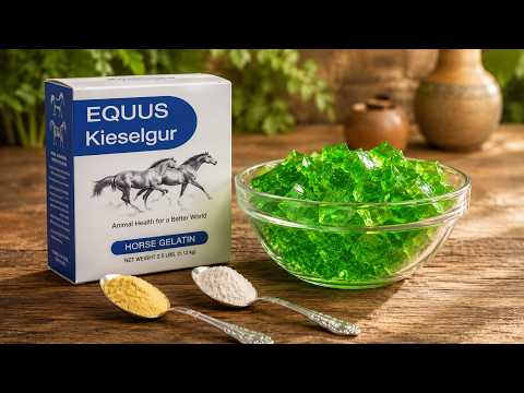 Does the Horse Gelatin Trick Actually Work for Men? A Closer Look at the Claim