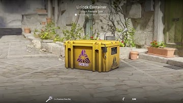 OPENING CASES CS2. DAY 100. FRACTURE CASE.