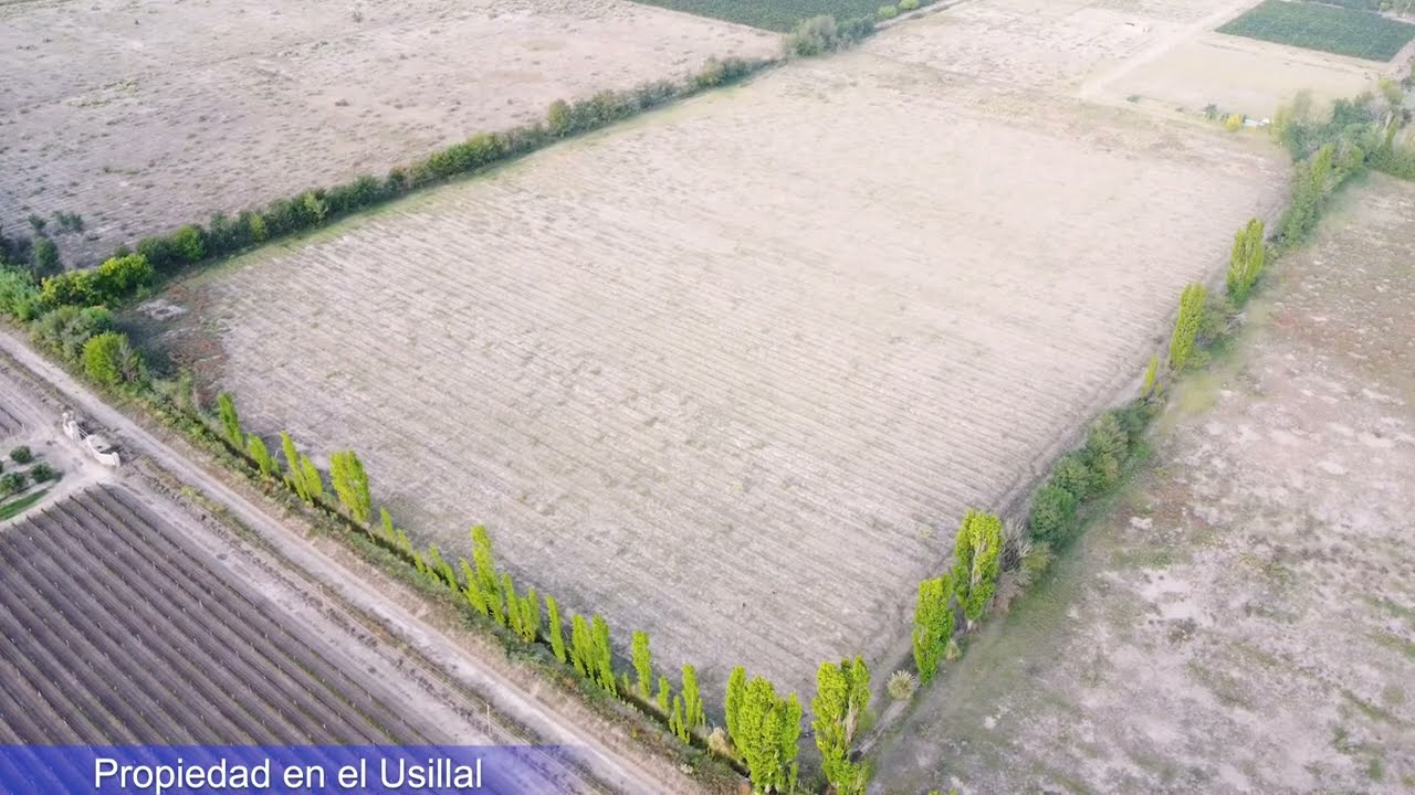 Finca En Venta- Usillal, San Rafael, Mendoza, Argentina