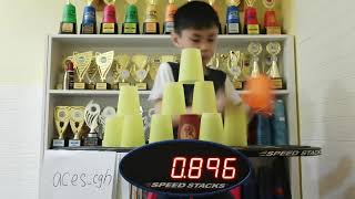 Sport Stacking 363