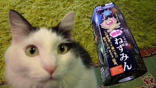 【ねこのおもちゃ】ジョシュのじゃれ猫ねずみん Cat playing with toys.