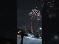 happy new year 2025🎆🎇