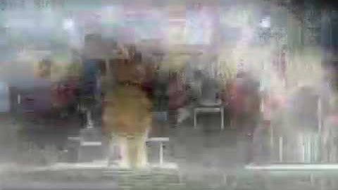 Suket teki live in Banjar widang tuban